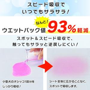 ペットシーツ ワイド 最安値 レギュラー 厚型...の詳細画像1