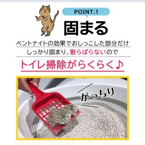 猫砂 鉱物系 10L×3袋 ベントナイト アイ...の詳細画像4