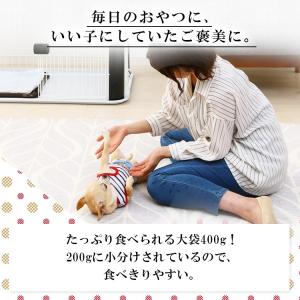 犬 おやつ ジャーキー ジャーキー 犬用 犬用...の詳細画像4