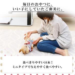 犬 おやつ ささみ ガム ジャーキー ジャーキ...の詳細画像3