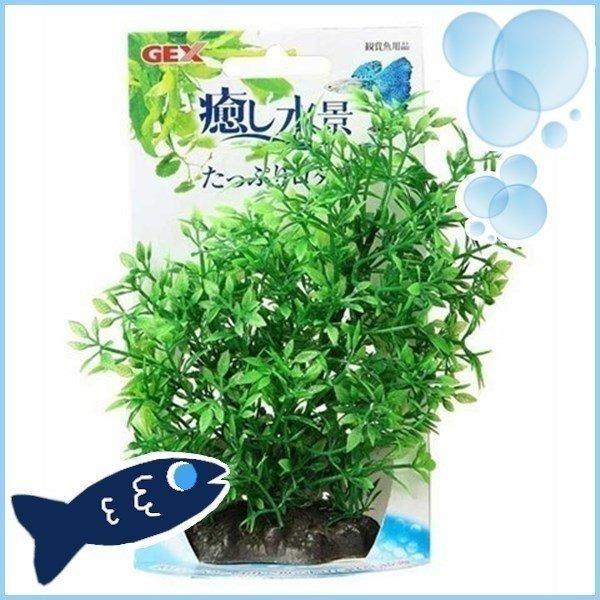アクア 癒し水景 たっぷりロタラ ジェックス