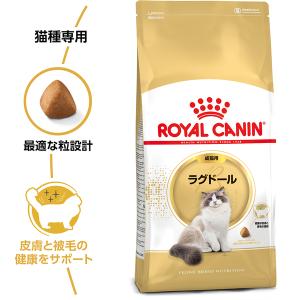 ロイヤルカナン 猫 ラグドール 成猫用 2kg...の詳細画像1