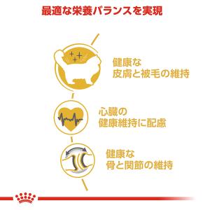 ロイヤルカナン 猫 ラグドール 成猫用 2kg...の詳細画像4