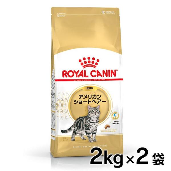 ロイヤルカナン 猫 アメリカンショートヘアー 成猫用 2kg×2個セット 正規品 キャットフード