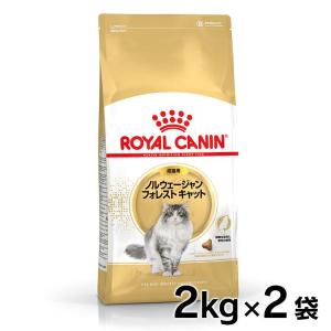 ロイヤルカナン 猫 ノルウェージャンフォレストキャット 成猫用2kg×2個セット 正規品 キャットフード｜wannyan