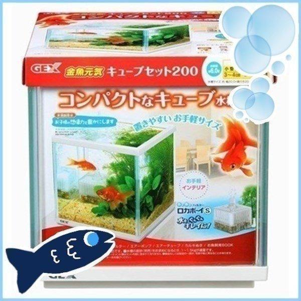 アクア 水槽セット 飼育セット 水槽 金魚 セット ガラス 飼育 ペット ジェックス GEX 金魚元...