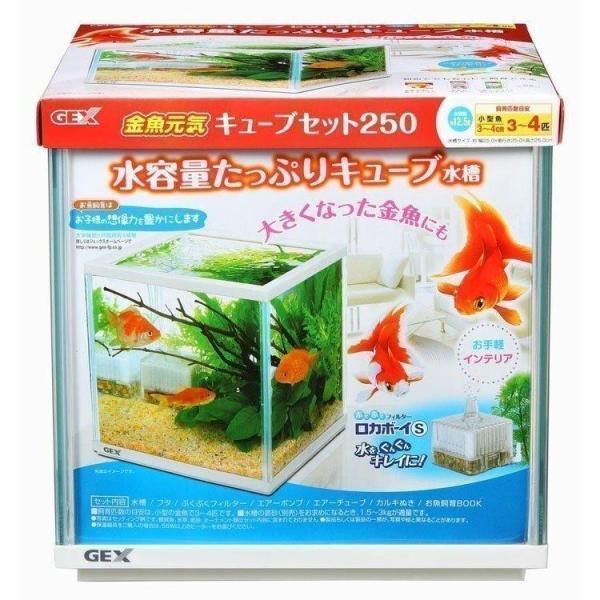 アクア 水槽セット 飼育セット 水槽 金魚 セット ガラス 飼育 ペット ジェックス GEX 金魚元...