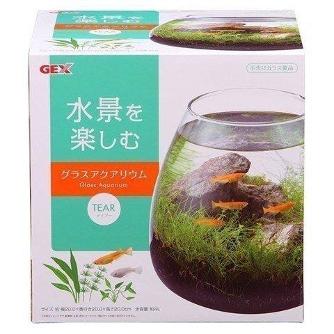 アクア 水槽 苔 ガラス 苔テラリウム おしゃれ コケリウム 熱帯魚 観賞魚 飼育 ジェックス GE...