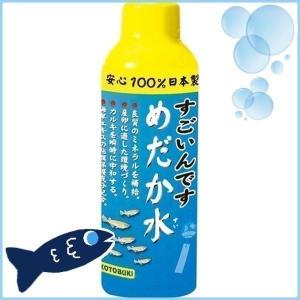 テトラ ｃｏ２キット ｃｏ２フルセット ３０ ６０ｃｍ水槽用 チャーム Charm Paypayモール店 通販 Paypayモール