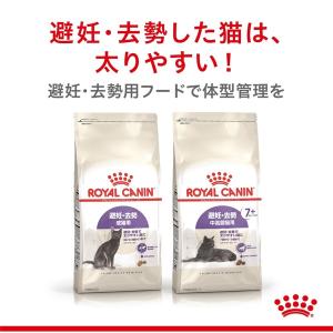 ロイヤルカナン 猫 2kg ステアライズド 成...の詳細画像2