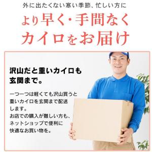 カイロ 貼る 貼るカイロ レギュラー 120枚...の詳細画像1