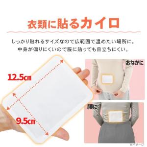 カイロ 貼る 貼るカイロ レギュラー 120枚...の詳細画像3