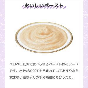いなば ちゅーる 猫 チュール ちゅーる CI...の詳細画像3