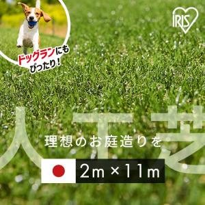 IRIS OHYAMA（アイリスオーヤマ） 人工芝 幅1m ロール 1m×11m 芝丈30mm