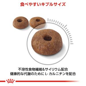 ロイヤルカナン 猫 ライト ウェイト ケア 1...の詳細画像3