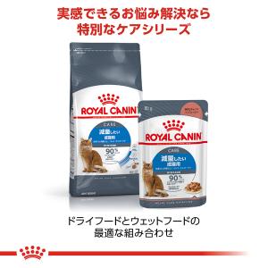 ロイヤルカナンFCN ライト ウェイト ケア ...の詳細画像4