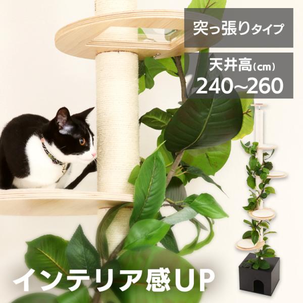 キャットタワー 猫用品 つめとぎ ねこの休ら木 ソラ ナチュラル 58203 (D)(B)