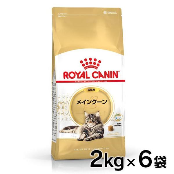 ロイヤルカナン 猫用 メインクーン31 2Kg 6個セット キャットフード 猫用 フード 猫