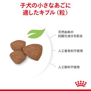ロイヤルカナン ミニ インドア パピー 2kg...の詳細画像3