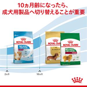 ロイヤルカナン ミニ インドア パピー 2kg...の詳細画像4
