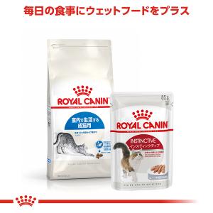 ロイヤルカナン 猫 4kg インドア キャット...の詳細画像5