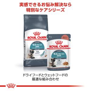 ロイヤルカナン キャット ヘアボール ケア40...の詳細画像4