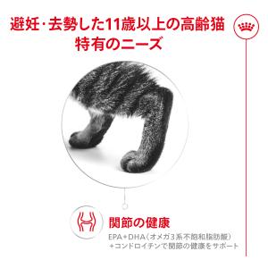 ロイヤルカナン 猫用 FHN エイジング ステ...の詳細画像1