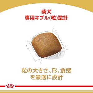 ロイヤルカナン 犬 柴犬 成犬用 8kg 8k...の詳細画像3