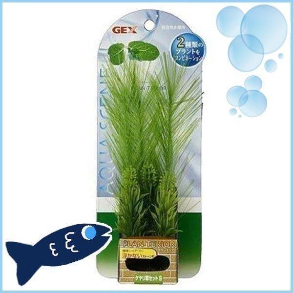 アクア FPケヤリ草セットS(D)(LP)