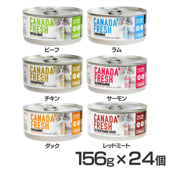 猫 フード キャットフード ケース カナダフレッシュ 猫用缶詰 156g  ペットカインド 缶詰 キ...