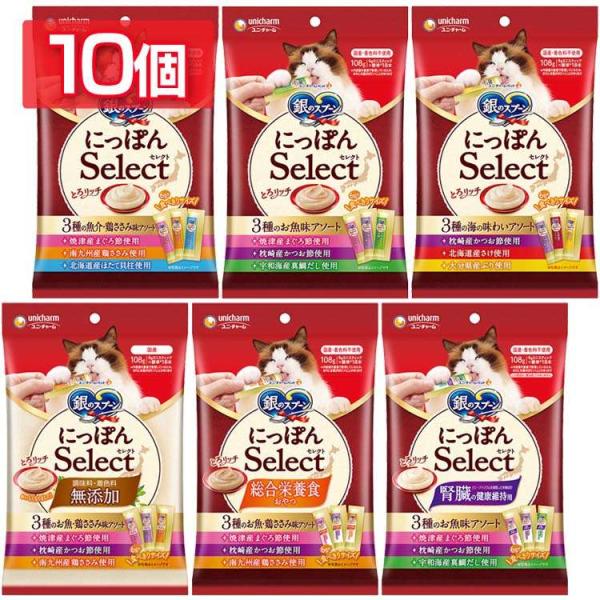 猫 フード 10個セット ペットフード 猫 キャットフード 銀のスプーン にっぽんSelect とろ...