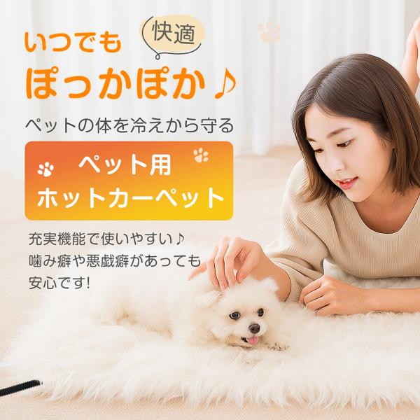 ホットカーペット 防水 電熱 PSE認証 暖かい ふわとろカバー 温度切替 犬用 猫用 ペット ホワ...