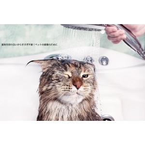 ペット用品 猫用品 【オゾ・エナジー】 除菌 ...の詳細画像5