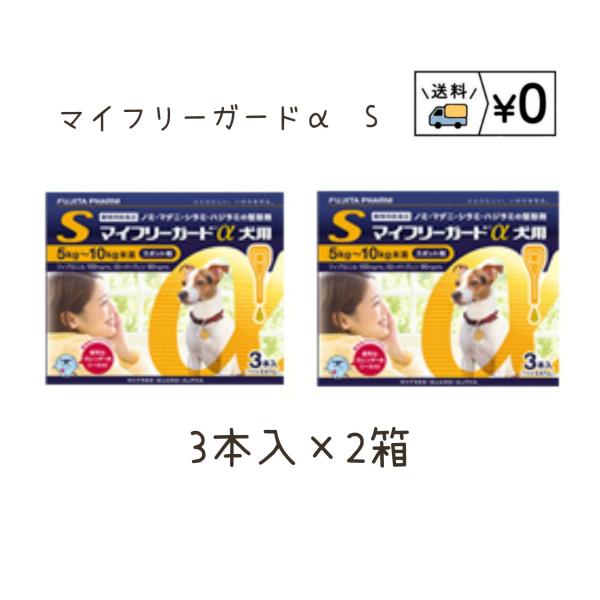 送料無料　マイフリーガードα犬用S 3本入×2箱　ネコポス発送　動物用医薬品