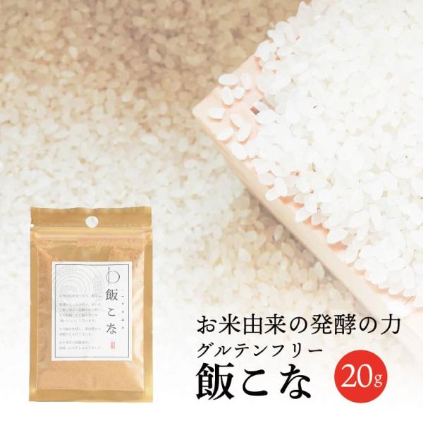 添加物不使用 無添加 鮒寿し 飯こな 20g 滋賀の名産品 発酵食品 腸活 粉末だし 粉末調味料 植...