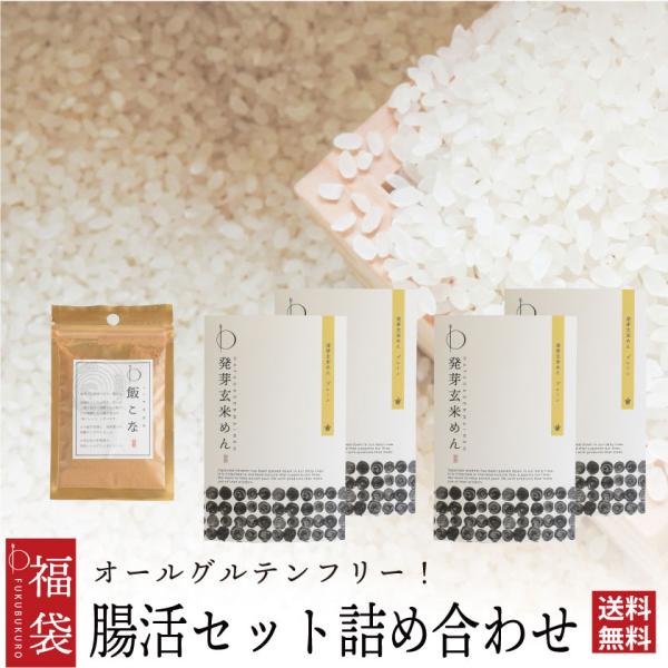 プレゼント グルテンフリー 添加物不使用 無添加 腸活セット詰め合わせ 飯こな 発芽玄米めん 太麺 ...