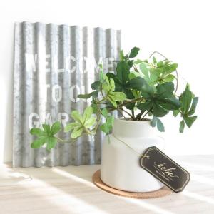 観葉植物 造花 エクリア グリーナリーライフ ...の詳細画像1