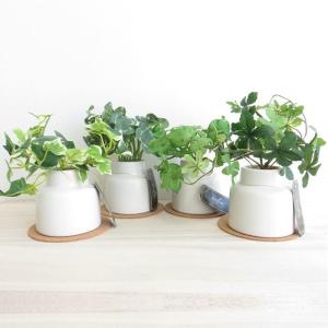 観葉植物 造花 エクリア グリーナリーライフ ...の詳細画像2