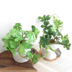 観葉植物 造花 エクリア グリーナリーライフ ...の詳細画像3