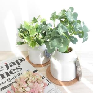 観葉植物 造花 エクリア グリーナリーライフ ...の詳細画像4