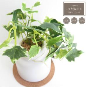 観葉植物 造花 エクリア グリーナリーライフ ...の詳細画像5