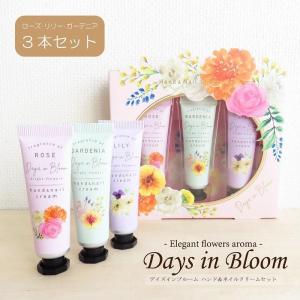 SPECIALE NOEVIR ノエビア スペチアーレ プレミアム クレンジング