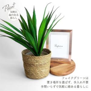 人工観葉植物 造花 ロングアガベ ポット 全長...の詳細画像4
