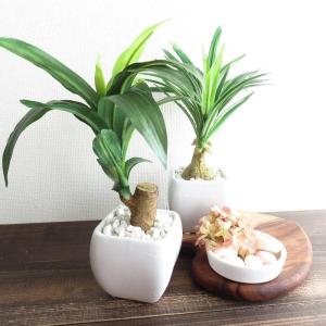 観葉植物 造花 ホワイトスクエアポット アーテ...の詳細画像2