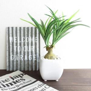 観葉植物 造花 ホワイトスクエアポット アーテ...の詳細画像3