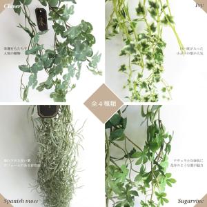 観葉植物 造花 エクリア グリーナリーライフ ...の詳細画像1
