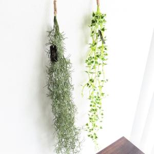 観葉植物 造花 エクリア グリーナリーライフ ...の詳細画像4
