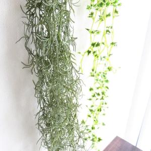 観葉植物 造花 エクリア グリーナリーライフ ...の詳細画像5