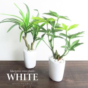 スリムパキラオーバルポット 観葉植物 フェイクグリーン 人工観葉植物