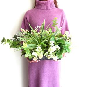 観葉植物 造花 グリーンアレンジ Mサイズ ア...の詳細画像5